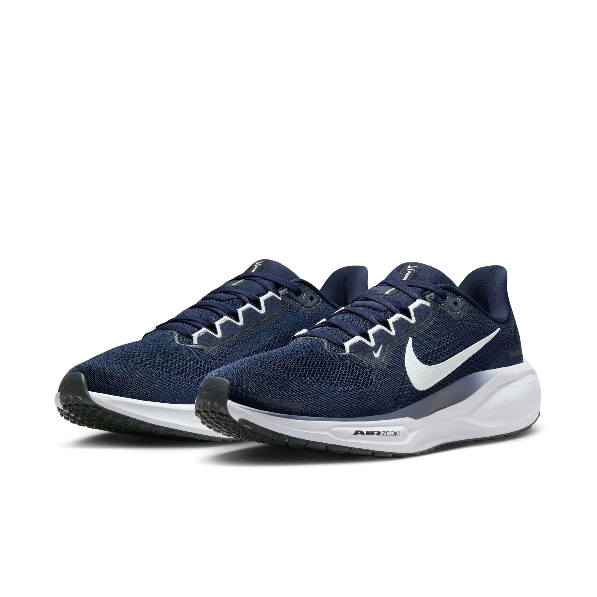 Air Zoom Pegasus 41 TB