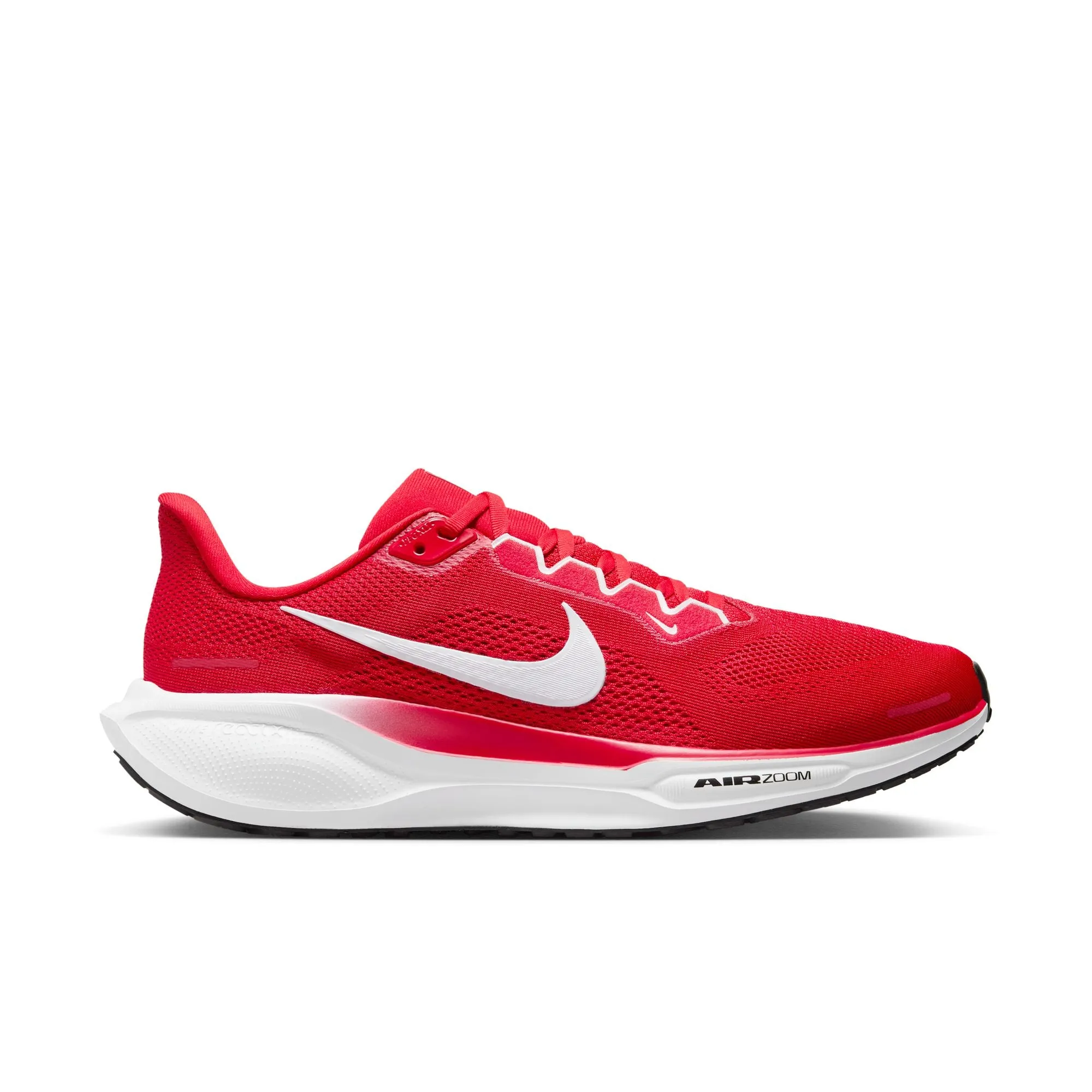 Air Zoom Pegasus 41 TB