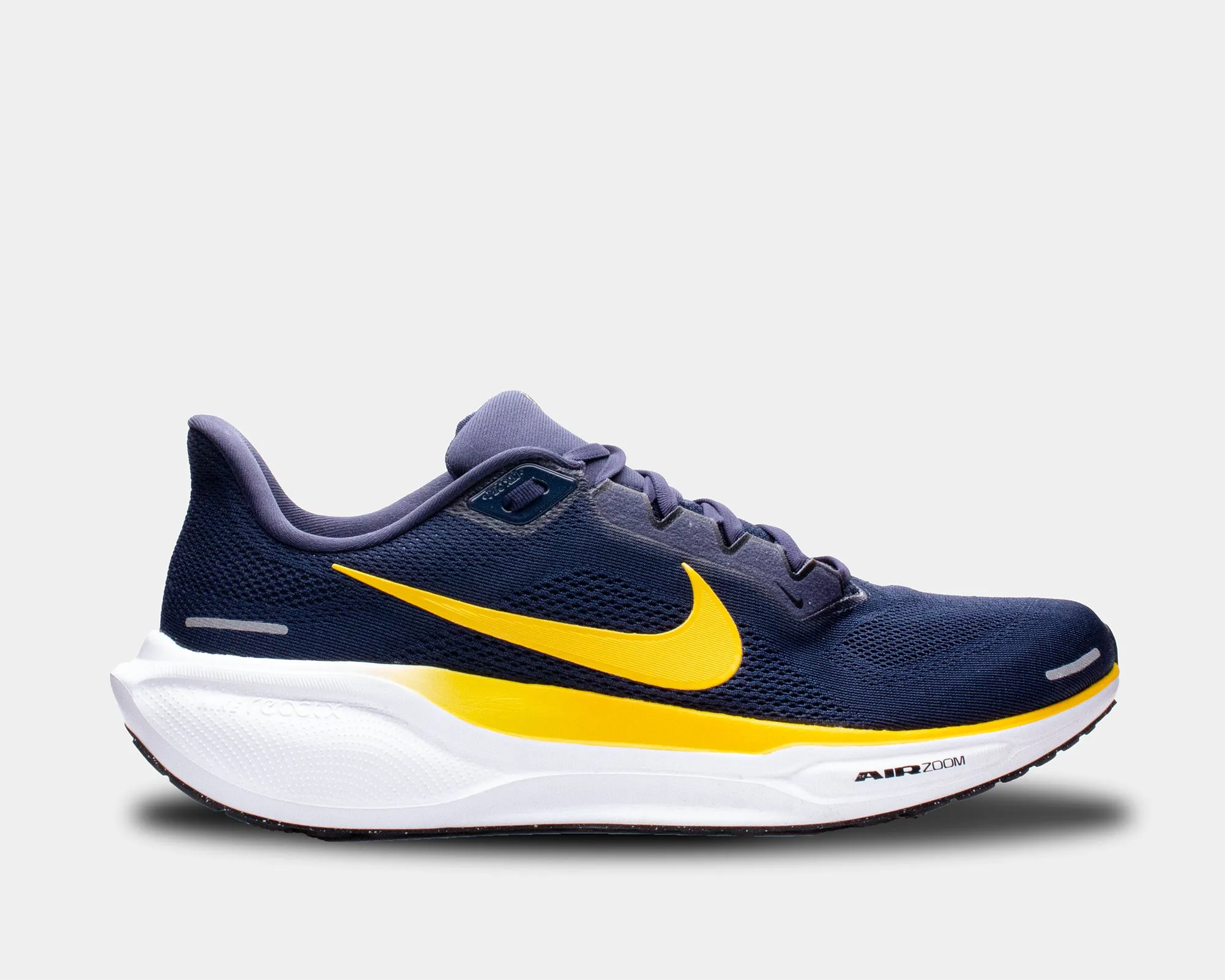 Air Zoom Pegasus 41 TB