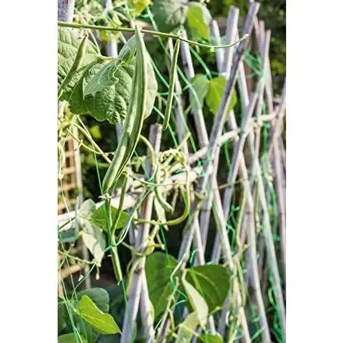 Apollo Pea & Bean Net 153mm Mesh - 4x2M & 6x2M Options