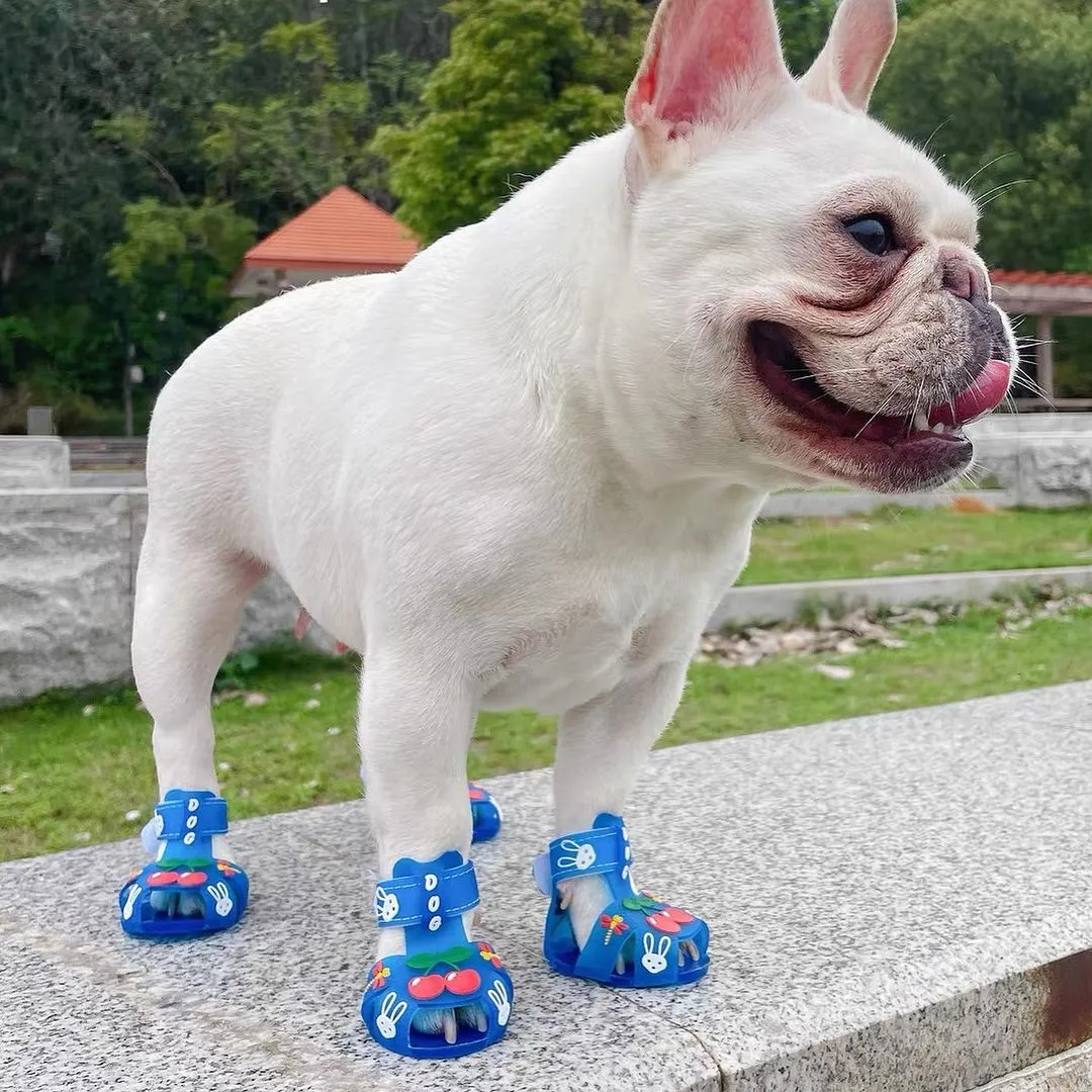 Frenchie Paws Protection Sandals