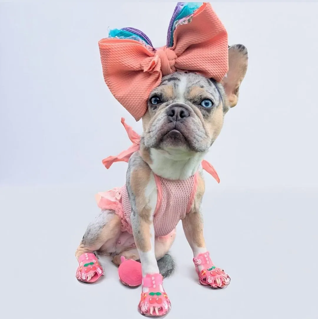 Frenchie Paws Protection Sandals