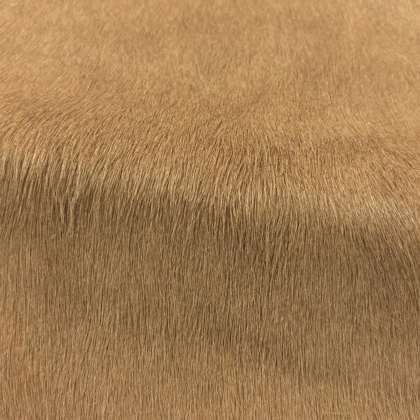 Hair-on Cow Hide | Ships in 2 weeks