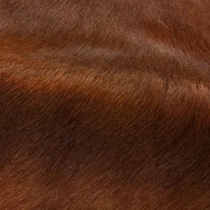 Hair-on Cow Hide | Ships in 2 weeks