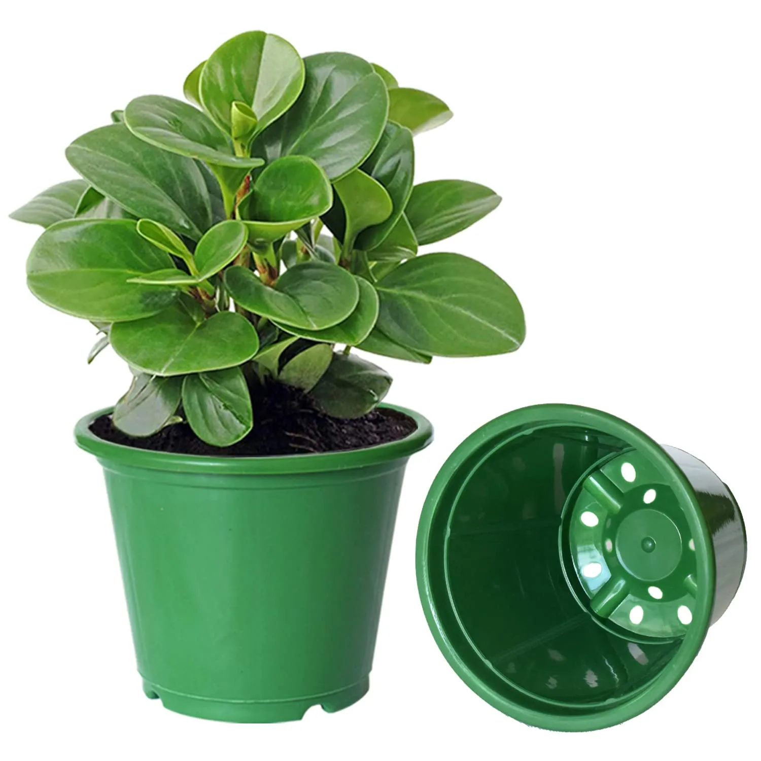 Kuber Industries Durable Plastic Flower Pot|Gamla with Drain Holes for Indoor Home Decor & Outdoor Balcony,Garden,6"x5",Pack of 3 (Green)