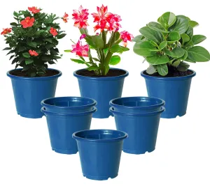 Kuber Industries Durable Plastic Flower Pot|Gamla with Drain Holes for Indoor Home Decor & Outdoor Balcony,Garden,6"x5",Pack of 8,(Blue)