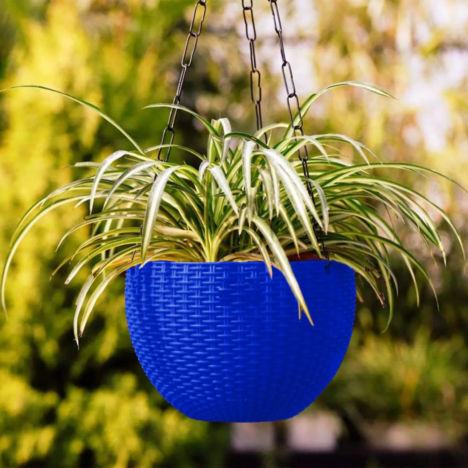 Kuber Industries Plastic Hanging Flower Pot for Balcony & Railing Set of 6 (Blue) 53KM3811