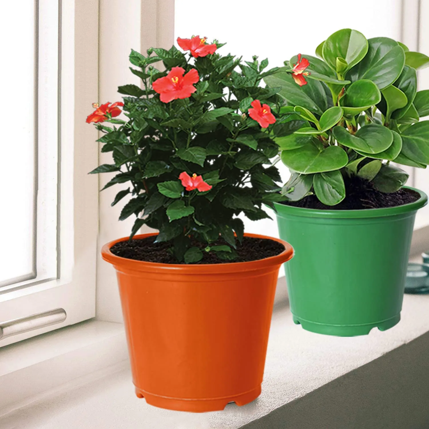 Kuber Industries Plastic Planters|Gamla|Flower Pots for Garden Nursery Home Décor,8"x6",Pack of 3 (Orange,Green,Blue)