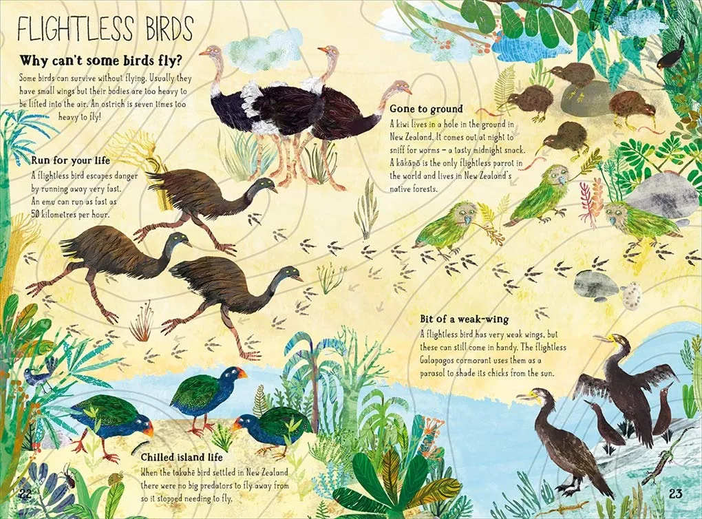 The Big Book of the Birds