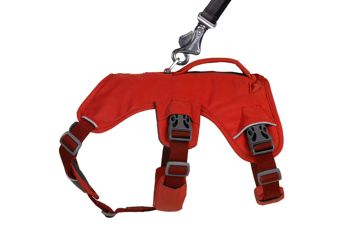 Web Master Harness Red Sumac