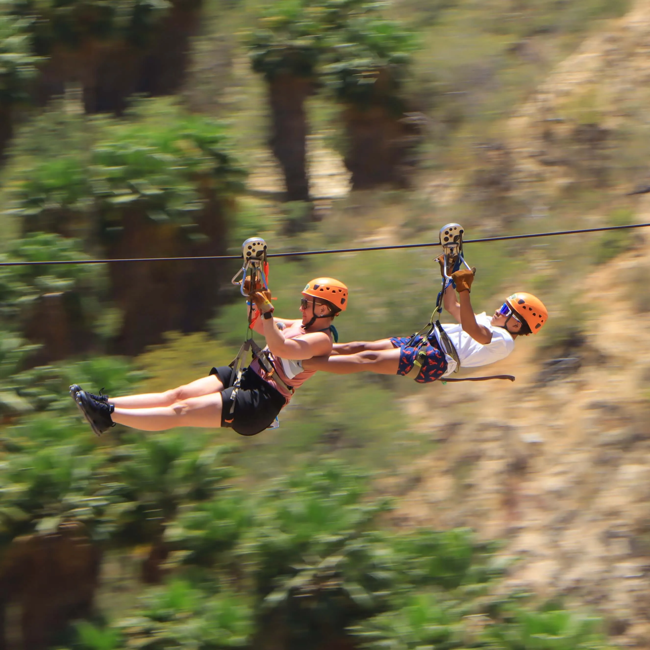 Zipline Tour