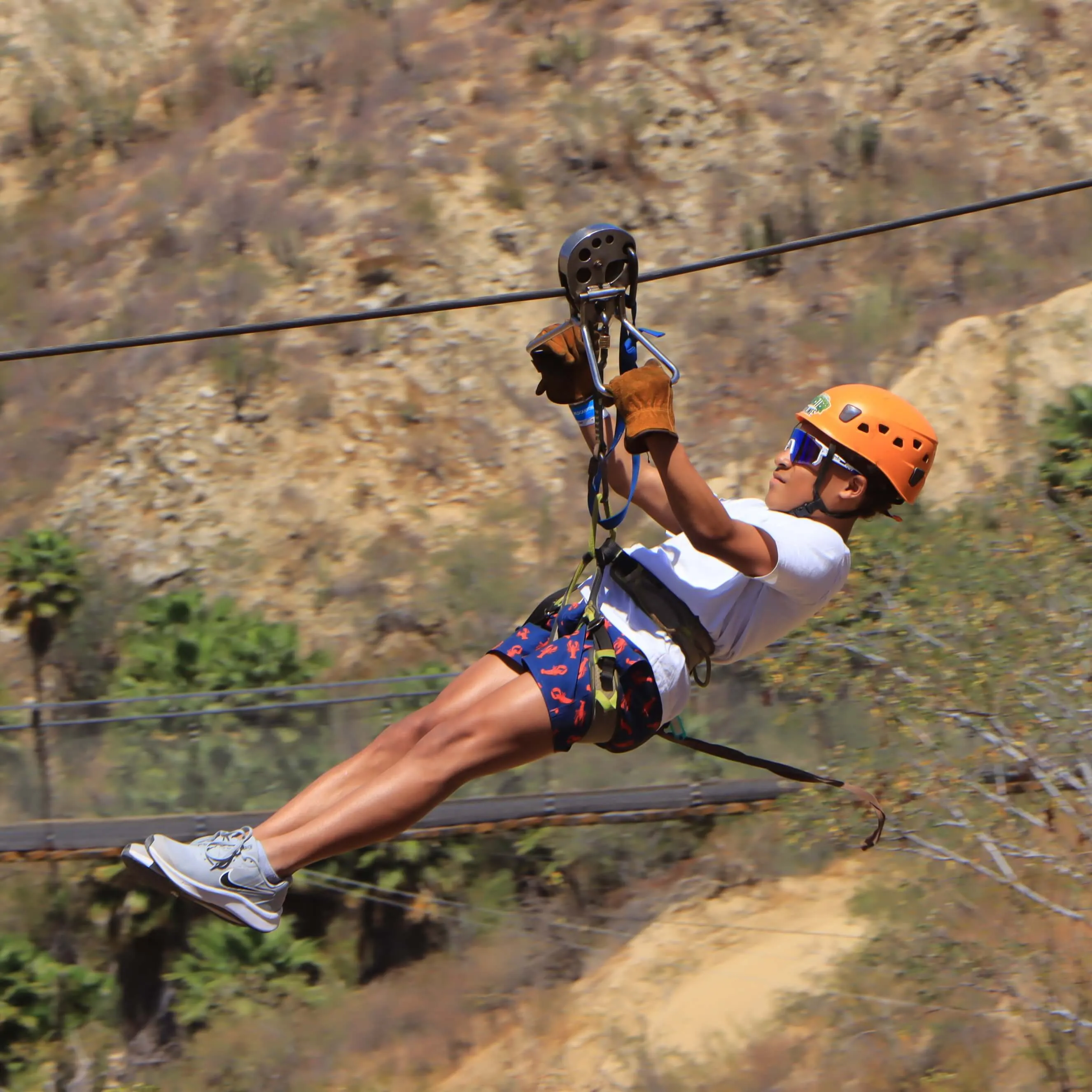 Zipline Tour